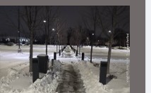 Cleared walkway lined with trees and lamp posts